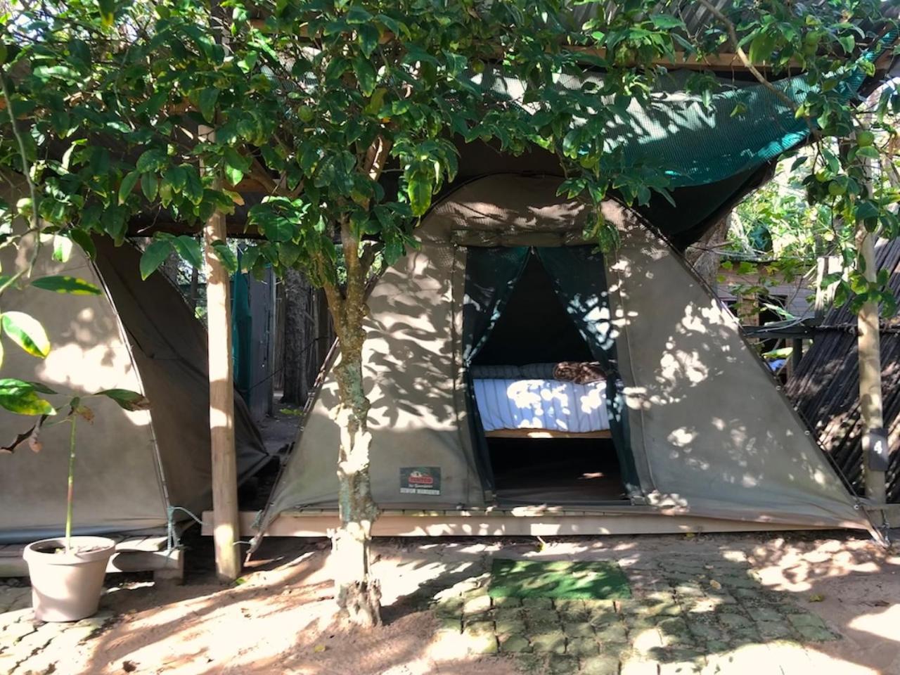 The Riverdeck Accommodation And Backpackers Knysna Exterior photo