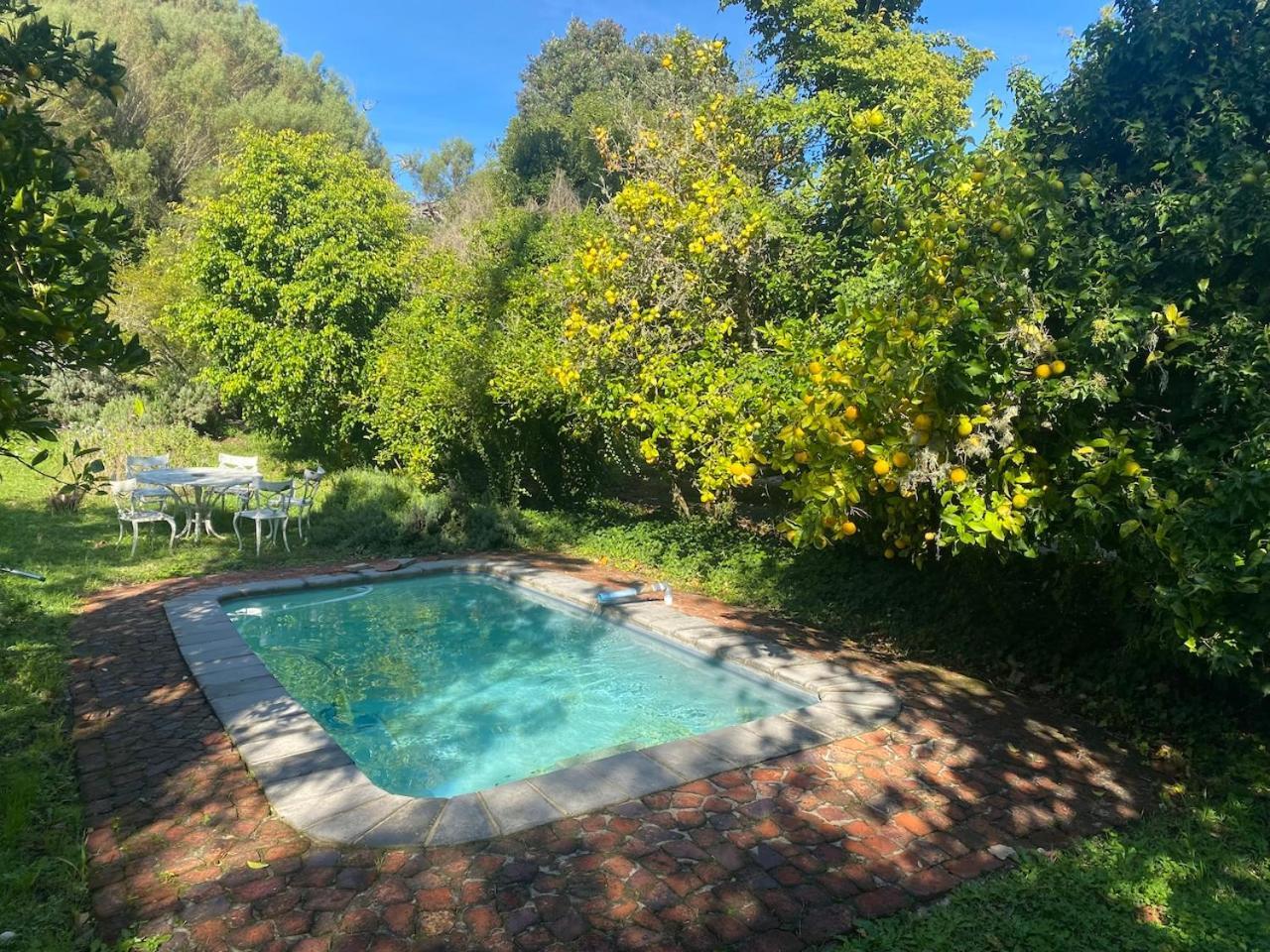 The Riverdeck Accommodation And Backpackers Knysna Exterior photo