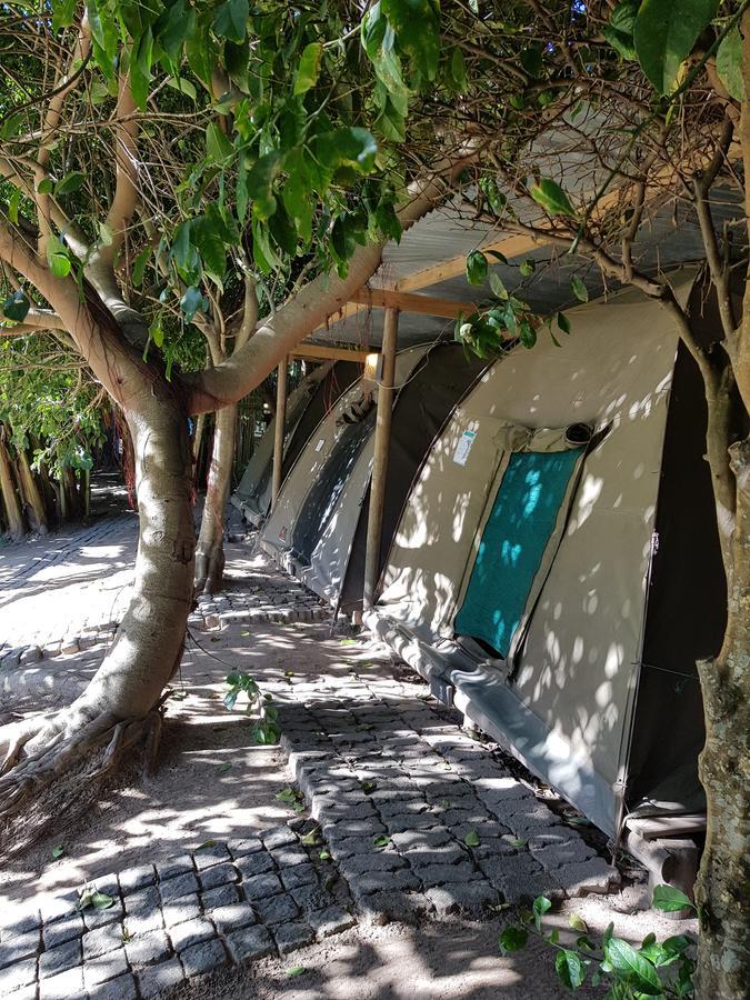 The Riverdeck Accommodation And Backpackers Knysna Exterior photo